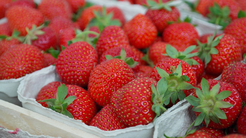 gefriergetrocknete-Erdbeeren